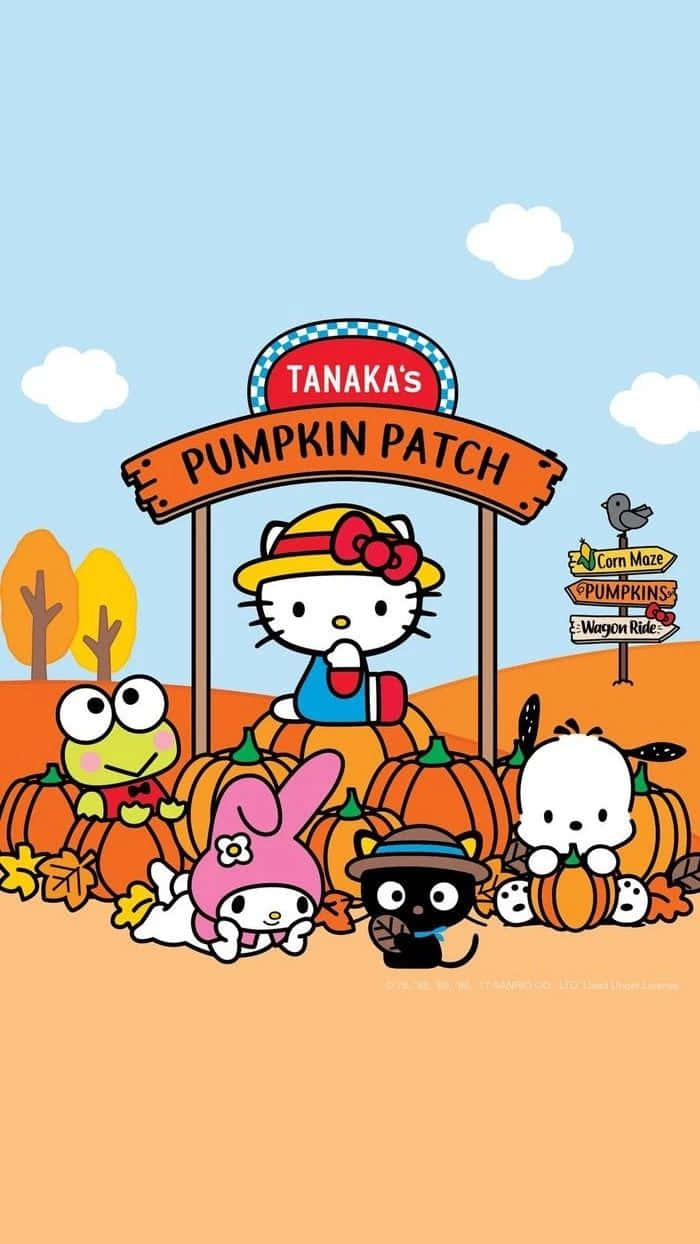 與Hello Kitty一同慶祝感恩節！ 壁紙 — Hello Kitty 和朋友們在田中南瓜園的南瓜之間，在晴朗的藍天下愉快地擺姿勢。