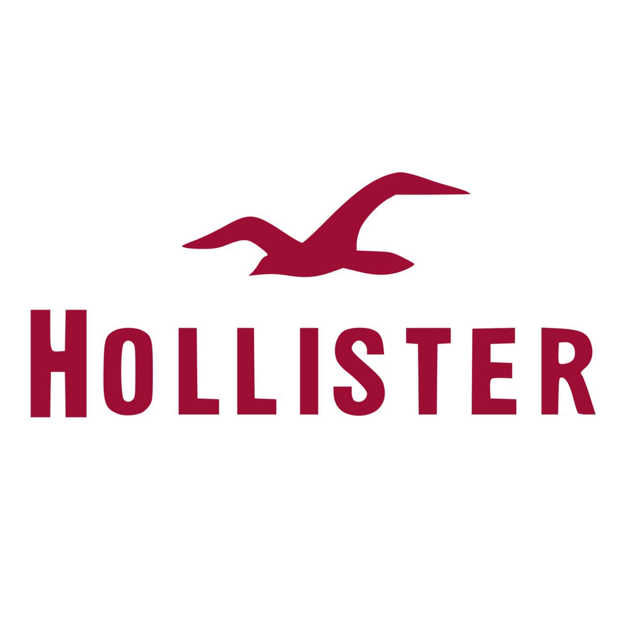Hollister品牌標誌，帶有紅色海鷗和文字，背景為白色