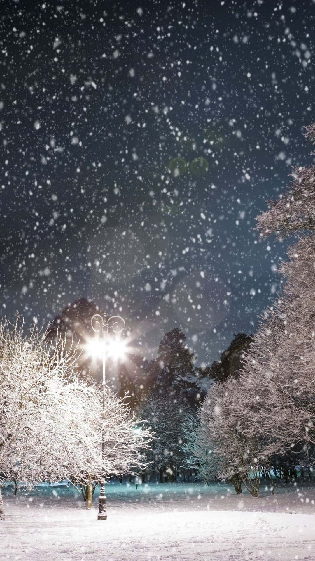 雪在點亮的街燈周圍飄落，夜晚的雪地公園。