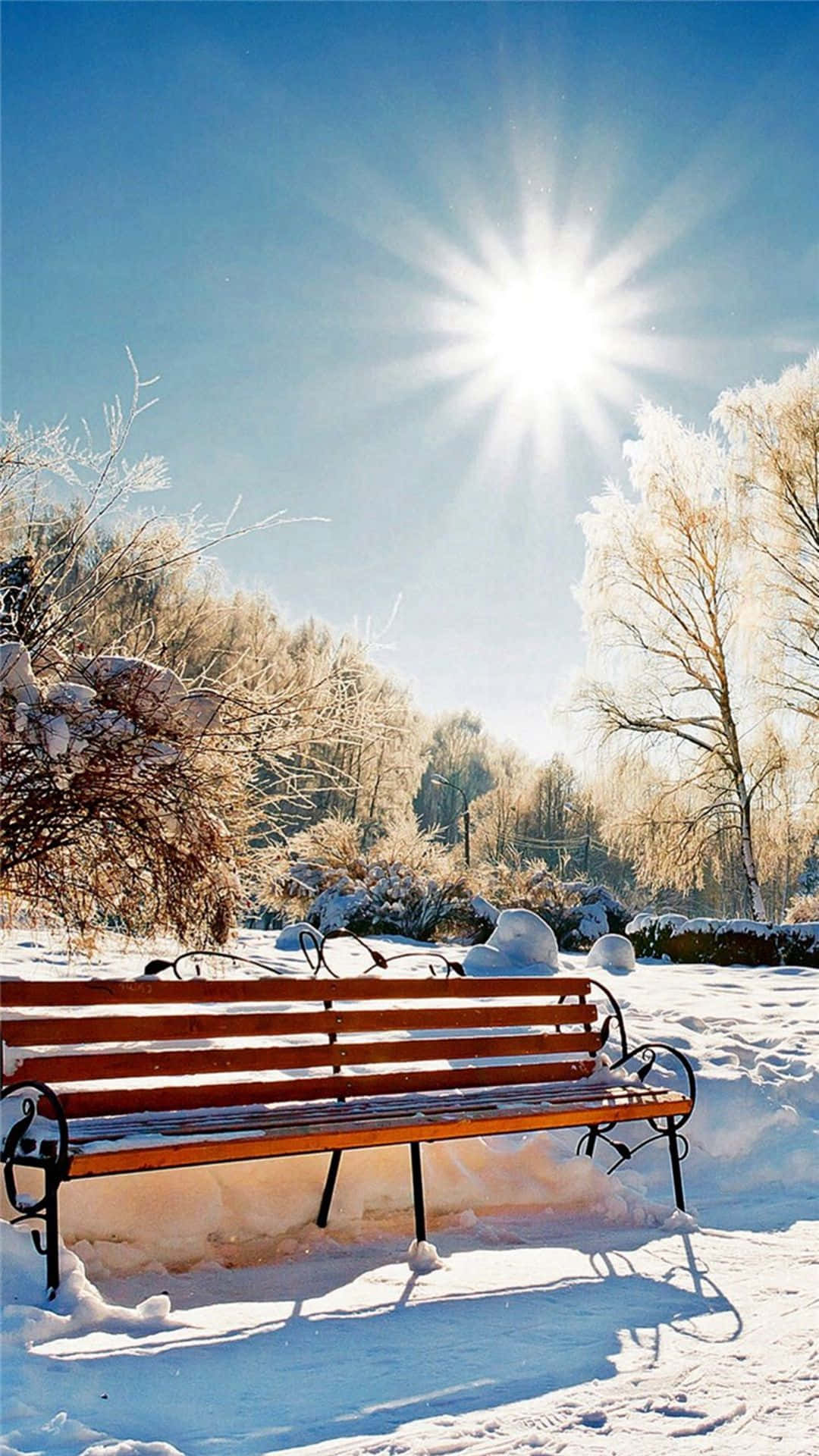 白雪覆蓋的公園中的一張木製長椅，背景有結霜的樹木和明亮的太陽。