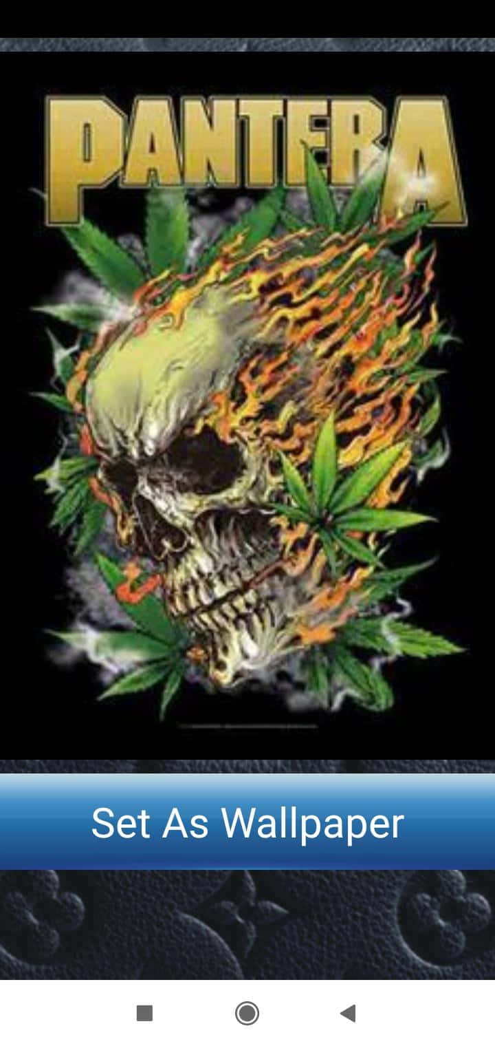 與Pantera一同搖滾 壁紙 — 一個燃燒的頭骨，被大麻葉包圍，黑色背景上有粗體金色字母的「PANTERA」字樣。