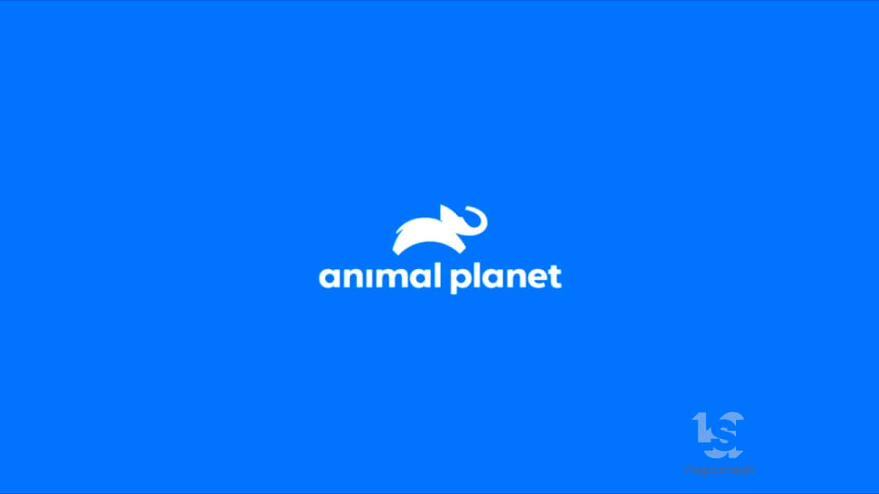 藍色背景上帶有白色大象剪影的 Animal Planet 標誌