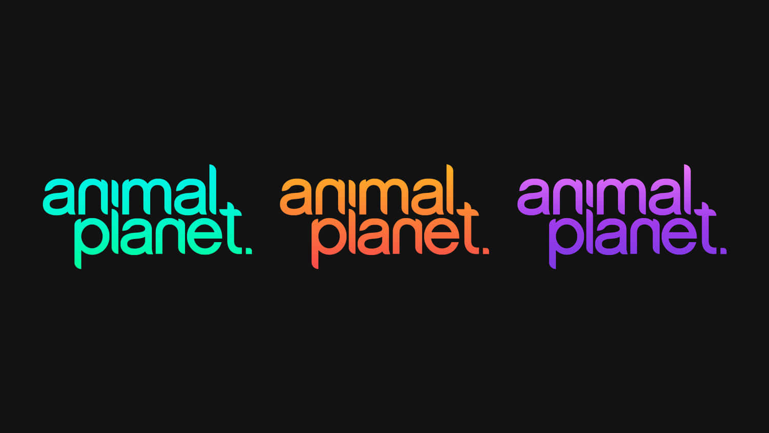 三個不同顏色的Animal Planet標誌在黑背景上。