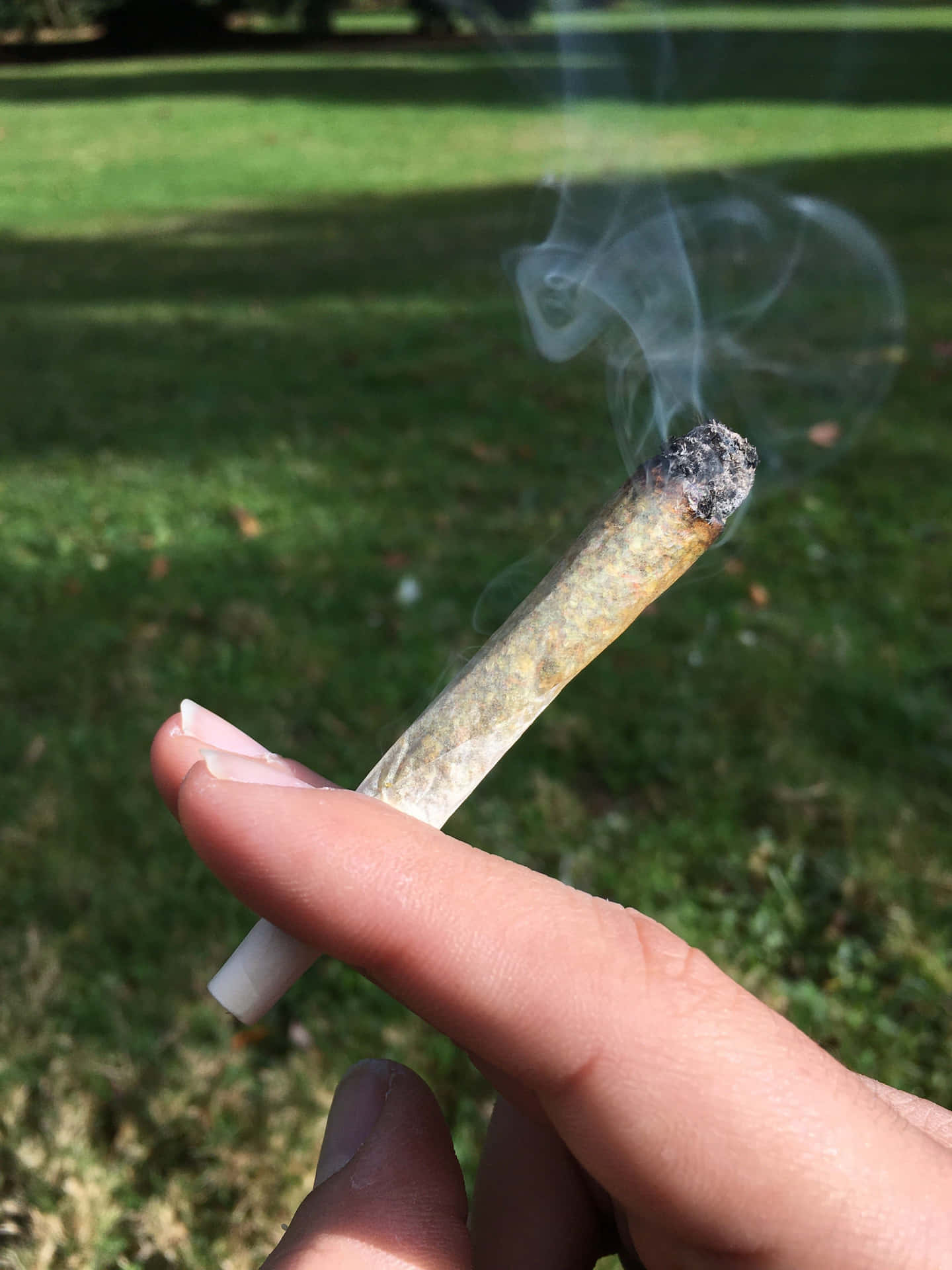 手拿著點燃的大麻煙，煙霧在草地上公園升起。