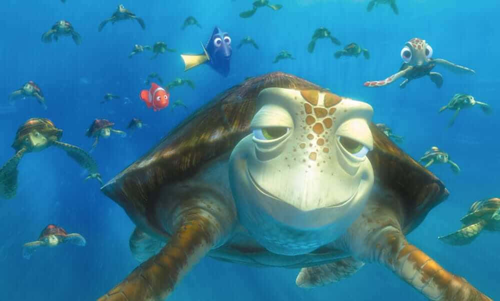一隻微笑的海龜與魚類和其他海龜在藍色海水中游泳。