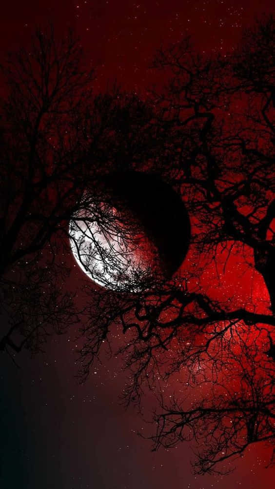 光禿禿的樹枝襯托著血紅色夜空下閃耀的月亮和星星。