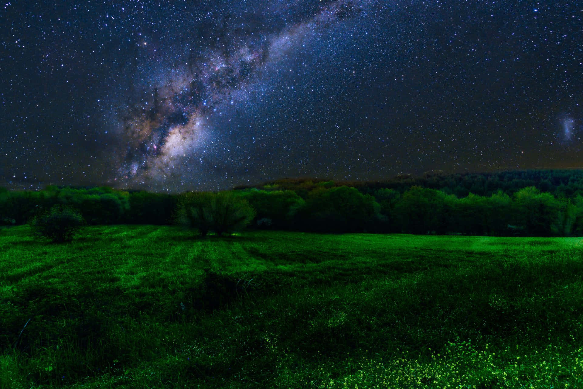 在繁星點點的夜空下，森林上方可見銀河的綠色田野。