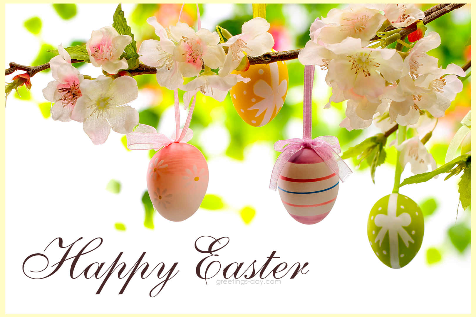 裝飾性復活節蛋掛在櫻花上，帶有「Happy Easter」文字。
