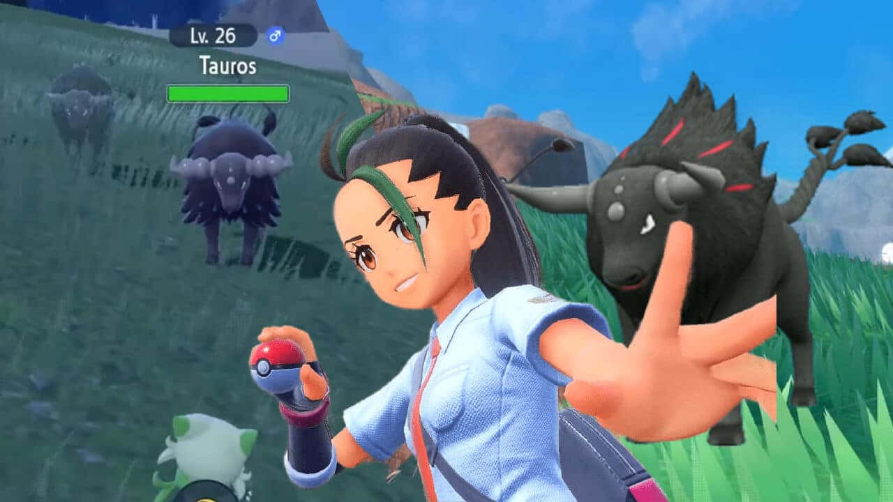 與帕底亞 Tauros 一同的涅莫娜 壁紙 — 一位穿著藍色襯衫的寶可夢訓練家手持精靈球，面對草叢中的野生肯泰羅，背景有山脈。