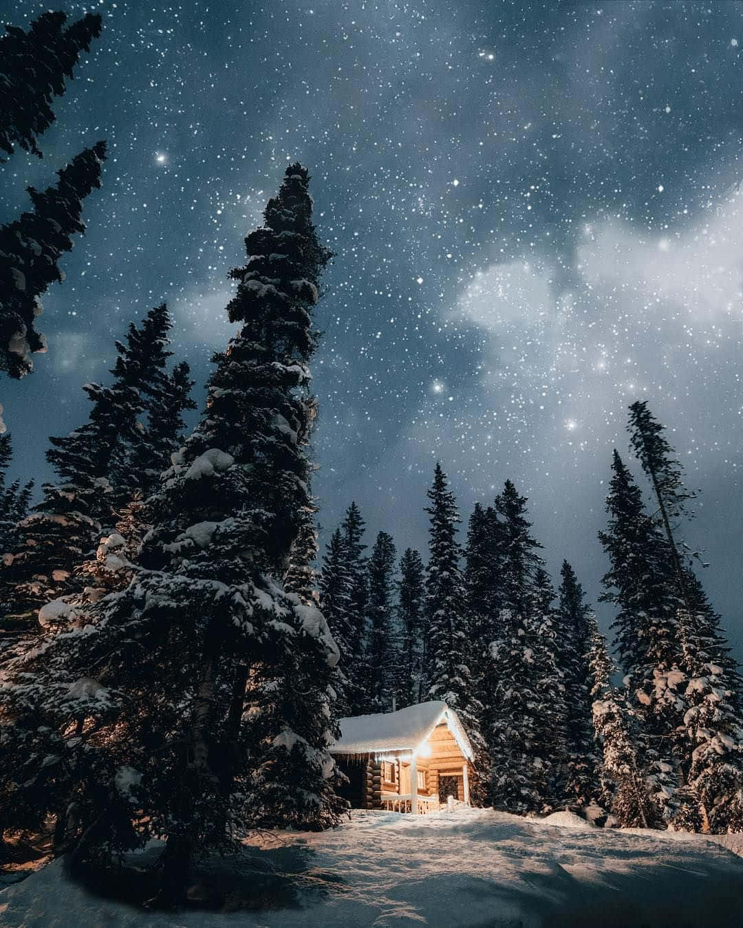 被松樹環繞的雪中小屋在繁星冬夜下閃耀。