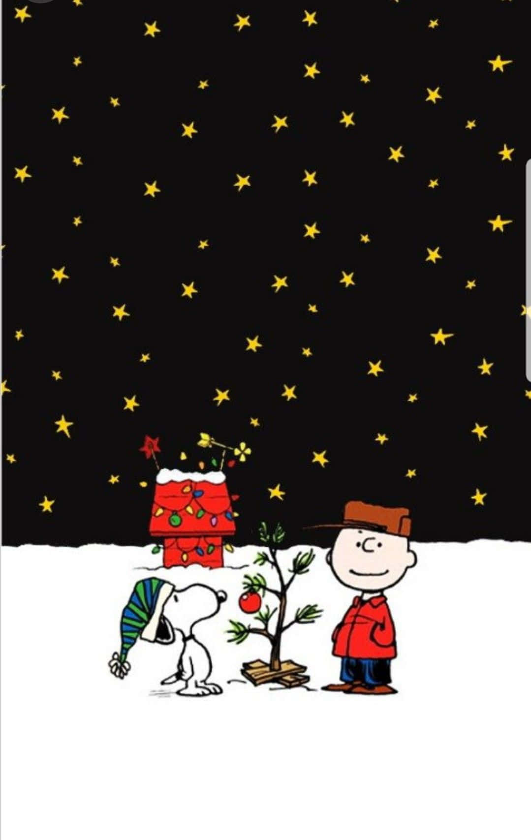 Charlie Brown 和 Snoopy 在星空下看著一棵小聖誕樹。