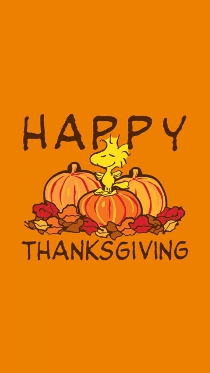 Happy Thanksgiving 文字與卡通小鳥在南瓜和葉子上。