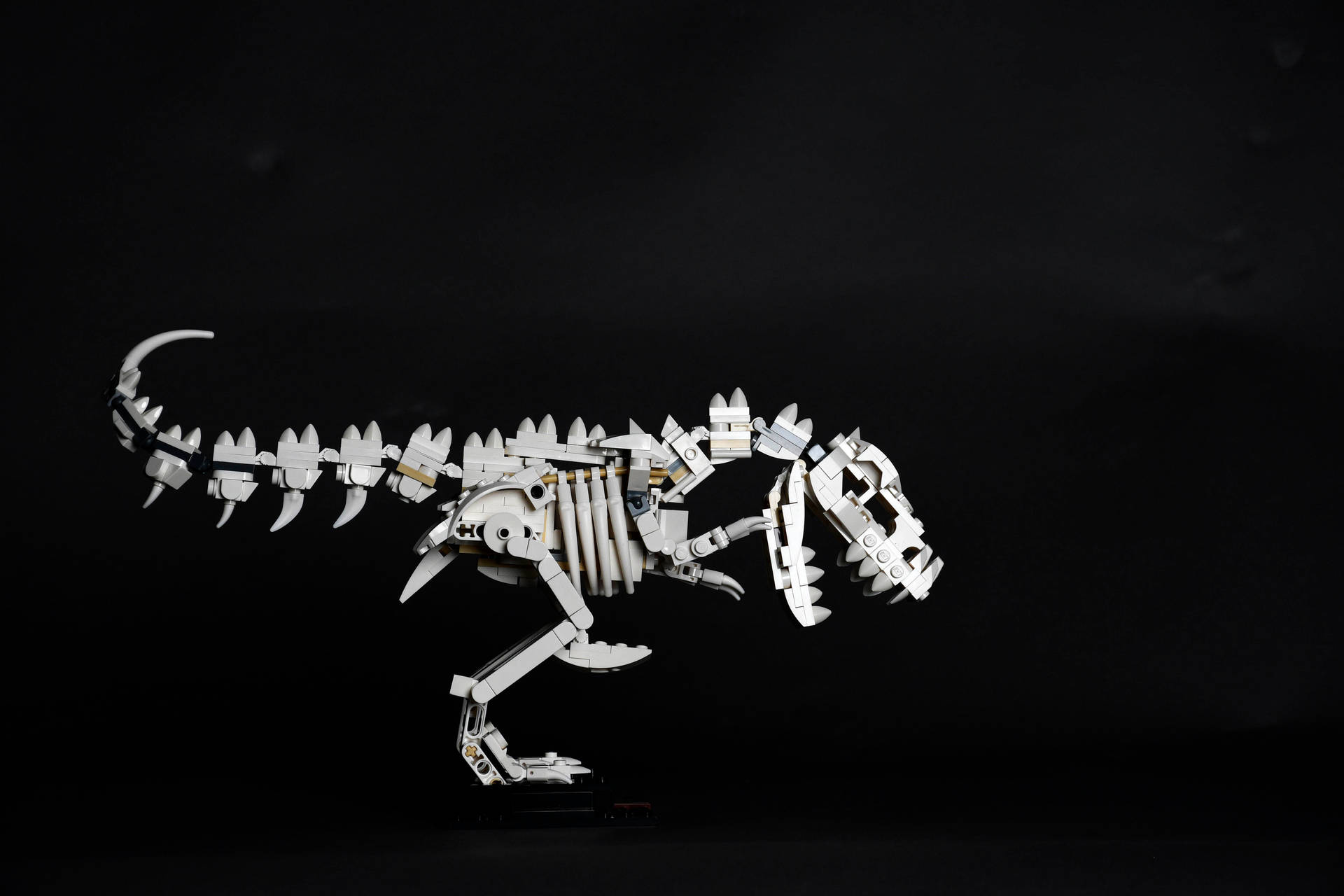 黑色背景上的白色LEGO T-Rex骨架模型