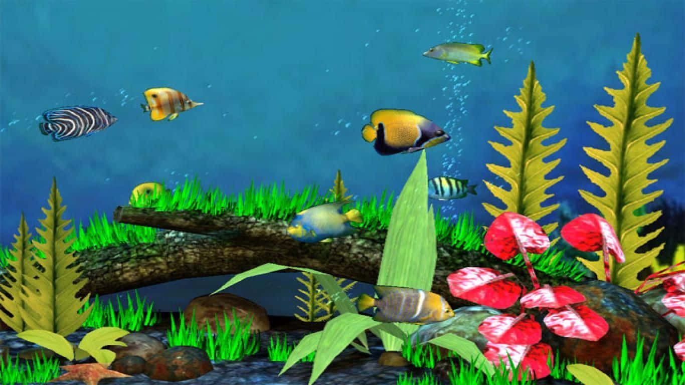 色彩繽紛的熱帶魚在清澈的藍色海水中穿過珊瑚和植物游動。