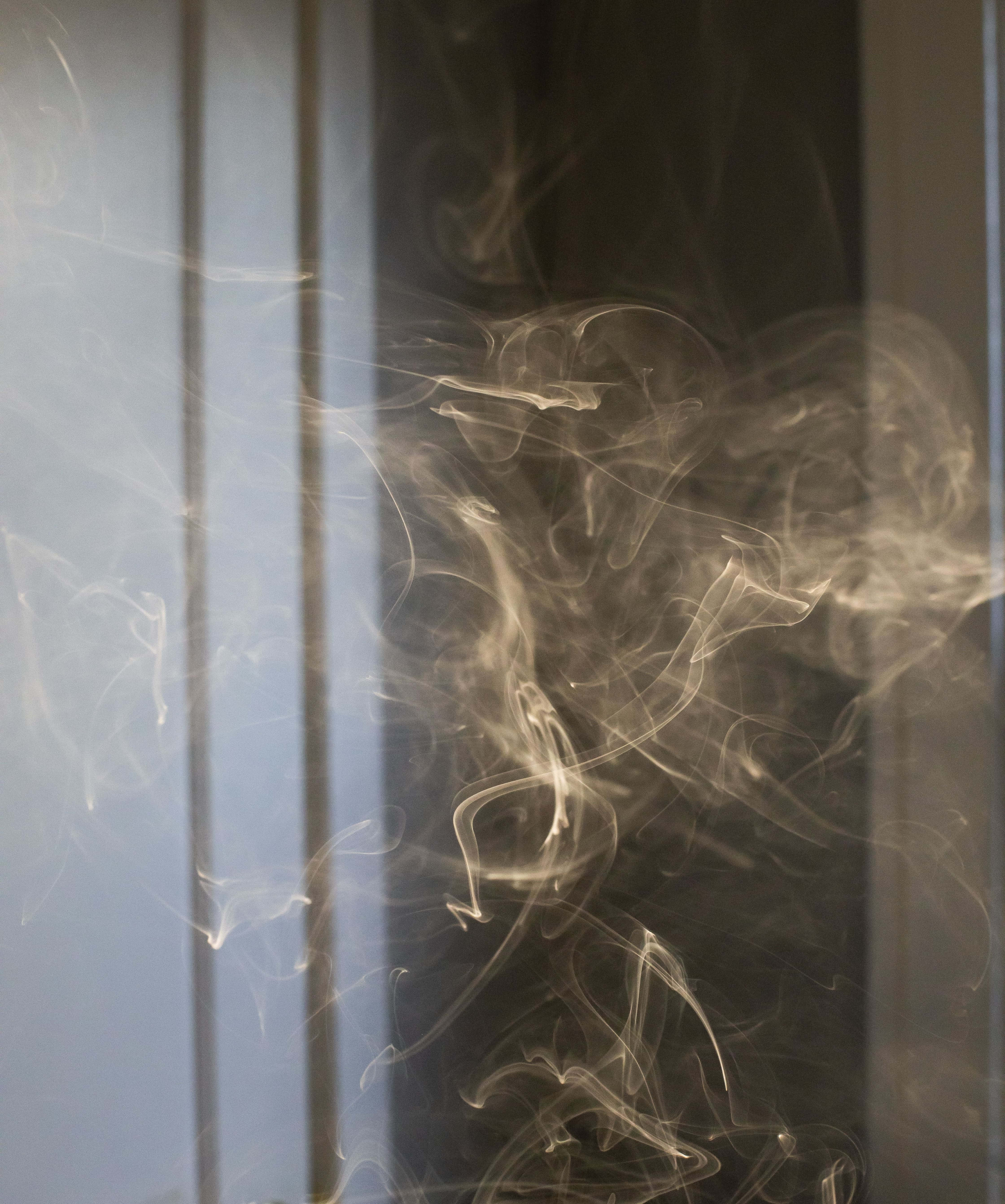 與煙霧熊一同探索森林之美 壁紙 — 細膩的煙霧縷縷在柔和自然光下的垂直百葉窗背景中優雅地旋轉。