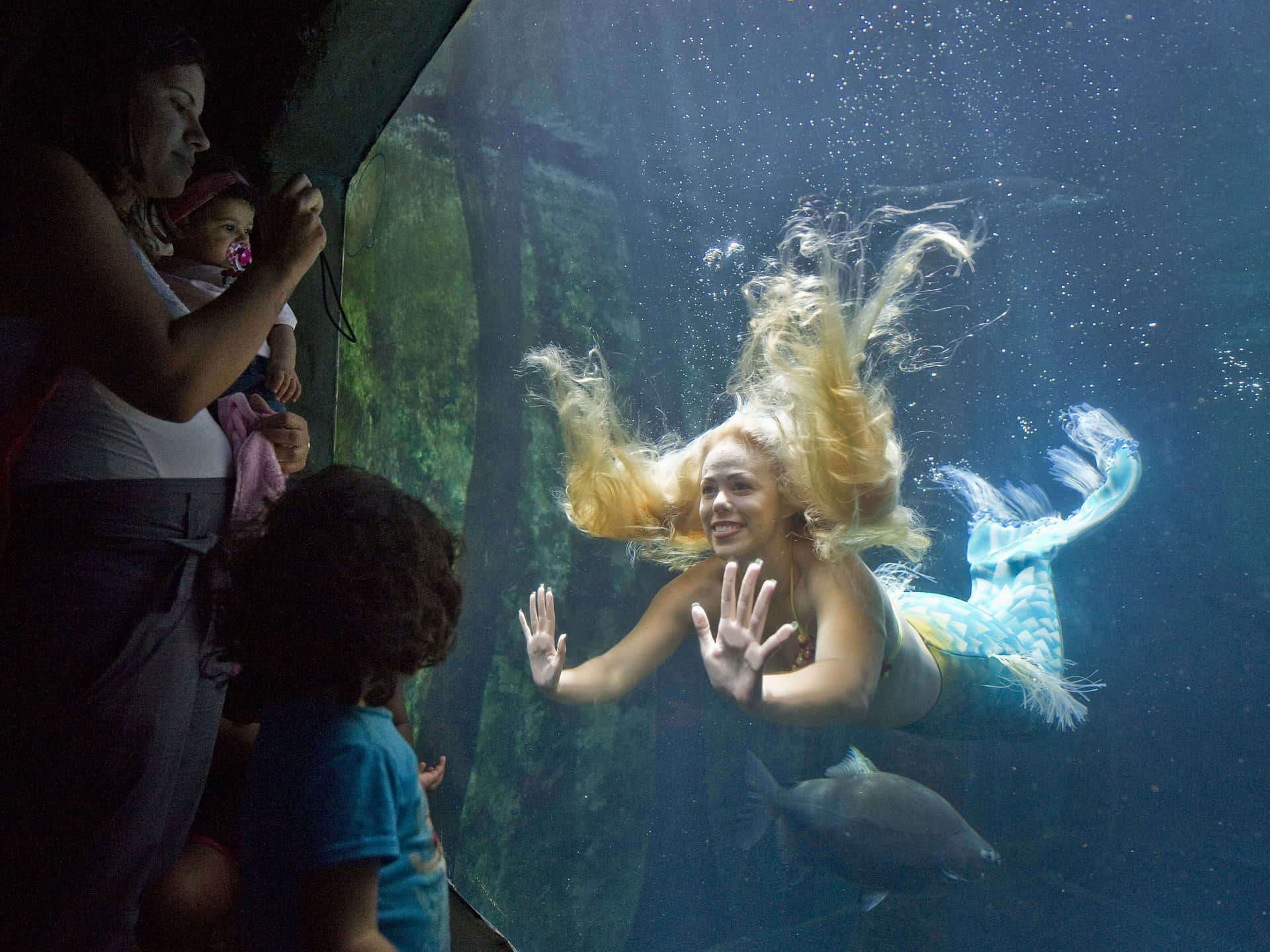 一條美人魚向從水族箱外面觀看的孩子們揮手。