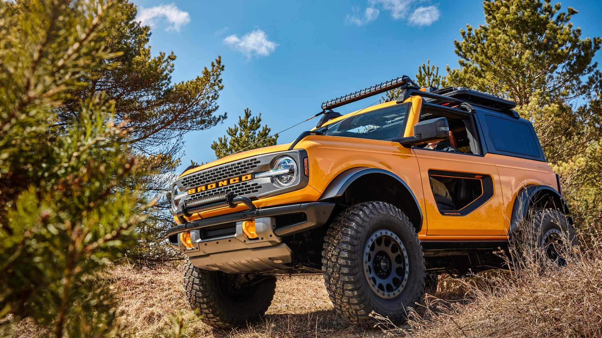 與福特Bronco一同探索開闊道路 壁紙 — 一輛亮橙色的福特Bronco SUV，配備堅固輪胎和車頂行李架，在晴朗藍天下，站在松樹間的乾草上。