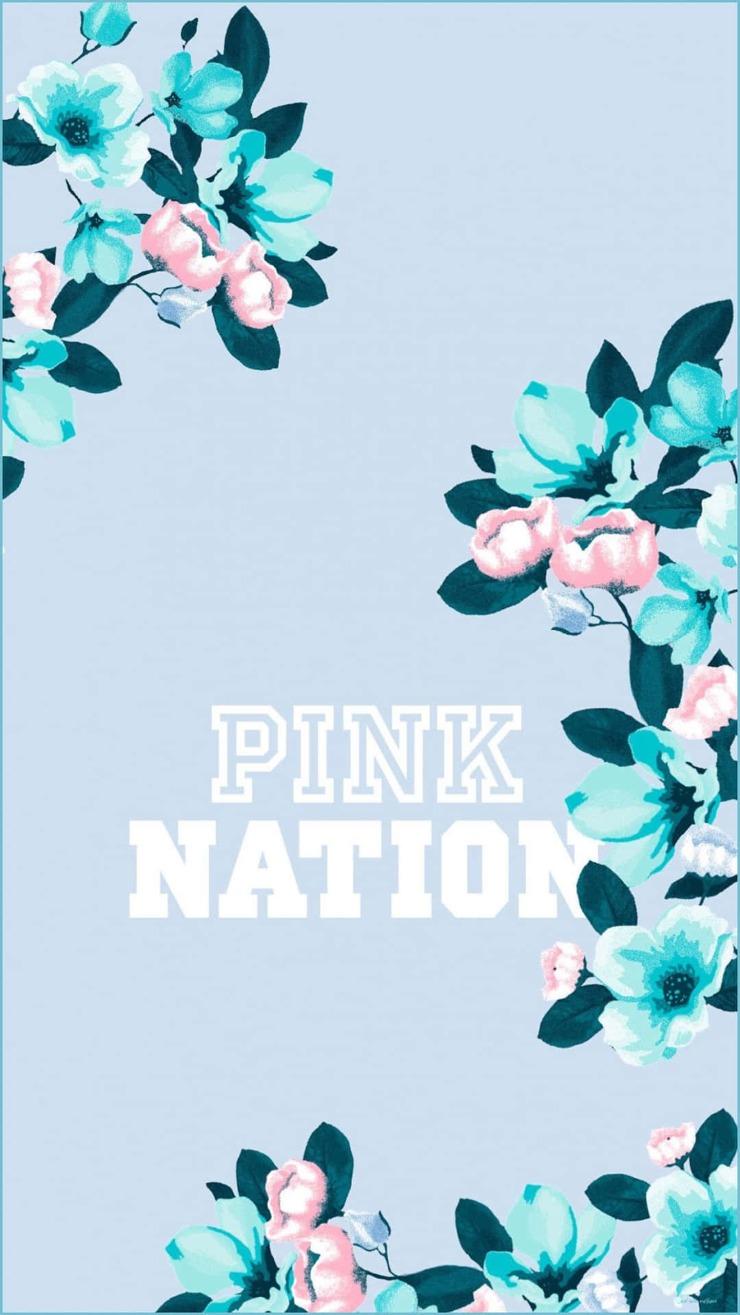 花卉牆紙，粉紅色和藍色花朵框住文字「PINK NATION」。