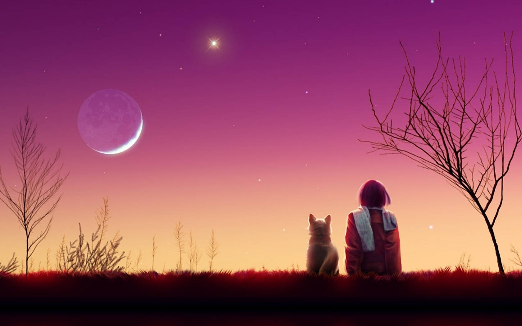 人物同狗喺暮色中睇月亮同星星