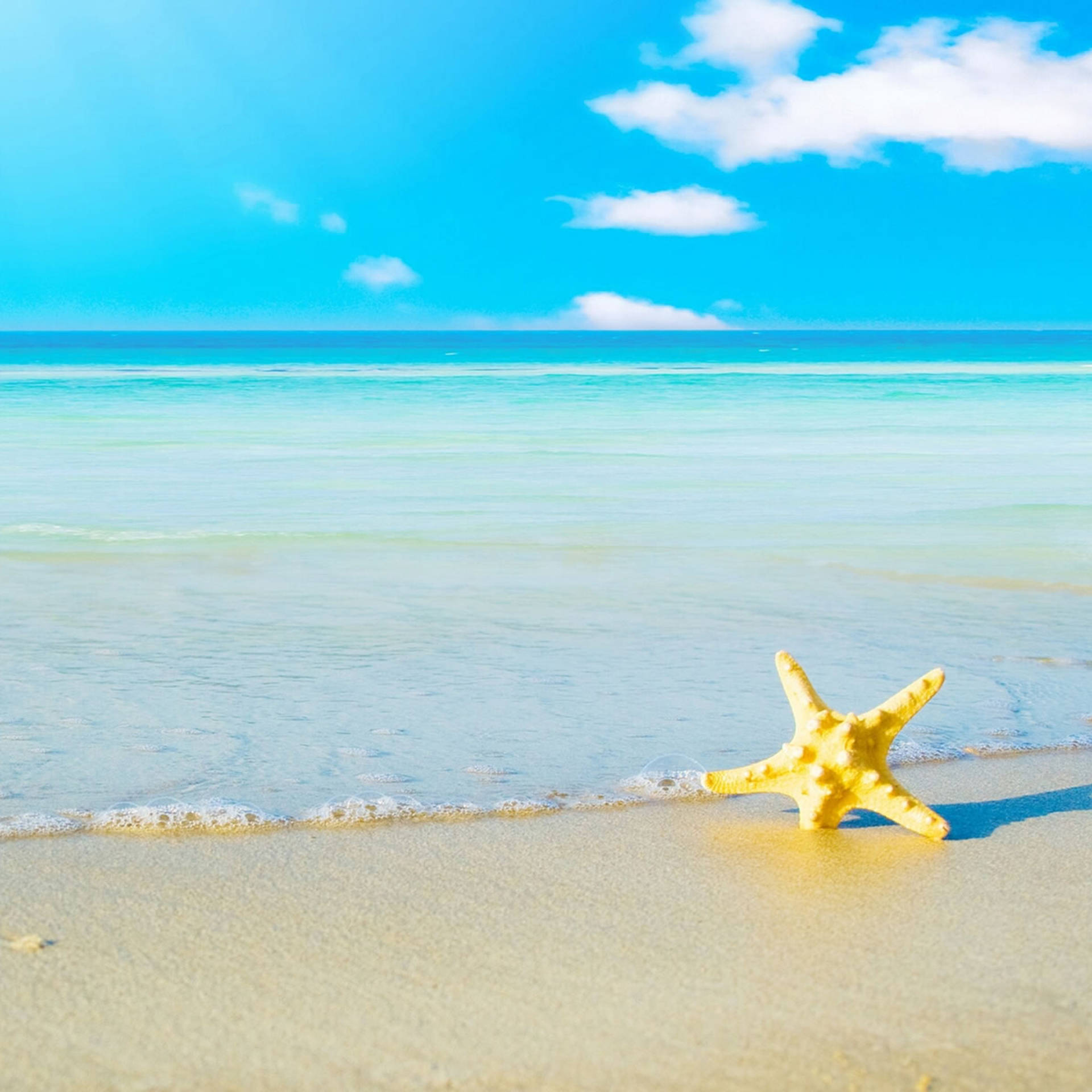 沙灘上的黃色海星與碧綠海洋和藍天