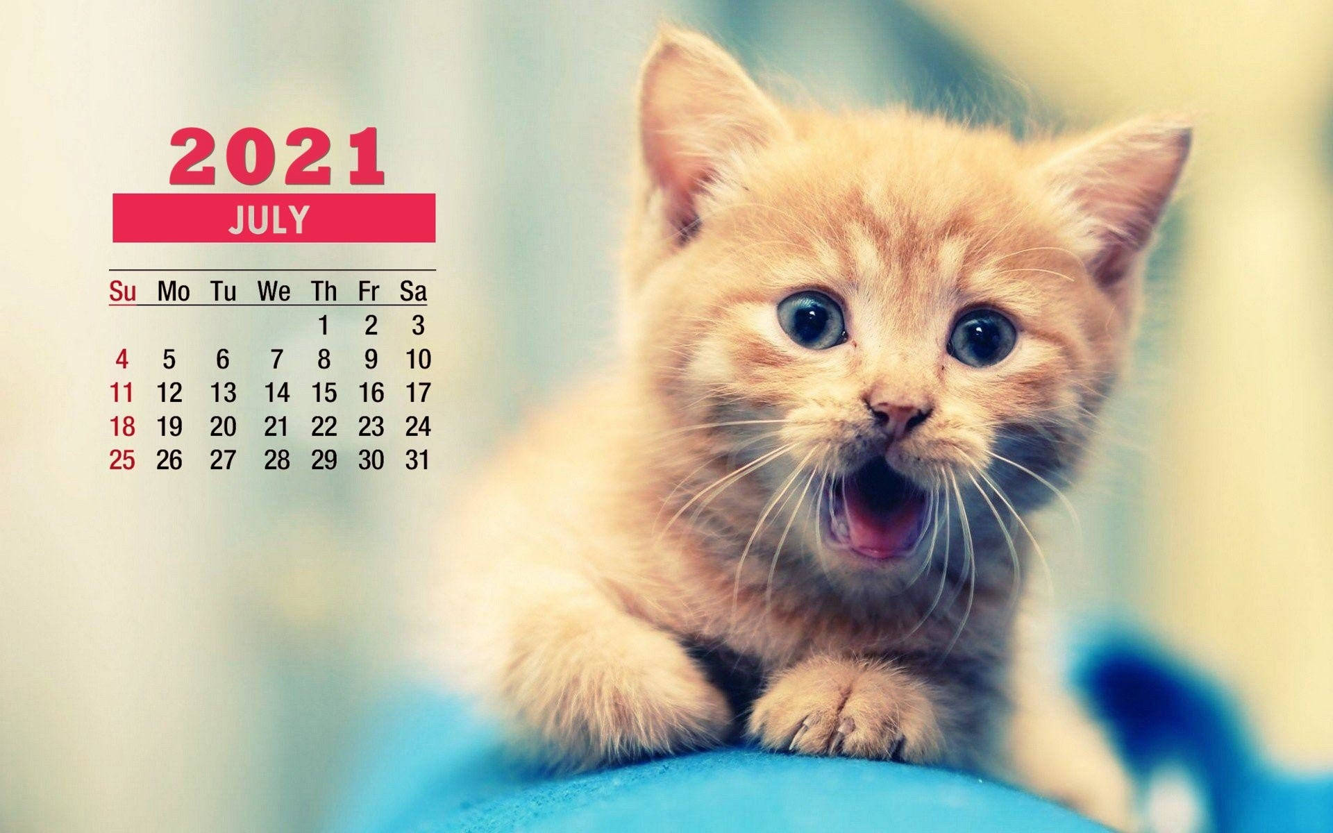 一隻薑黃色小貓，睜大眼睛，張開嘴巴，旁邊是2021年7月的日曆。
