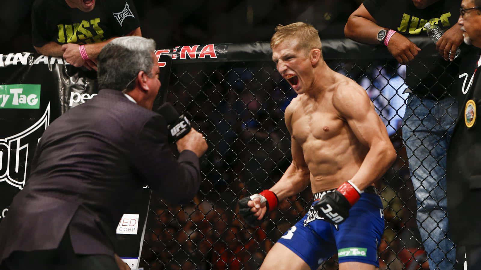 MMA拳手與裁判在八角籠內慶祝勝利。