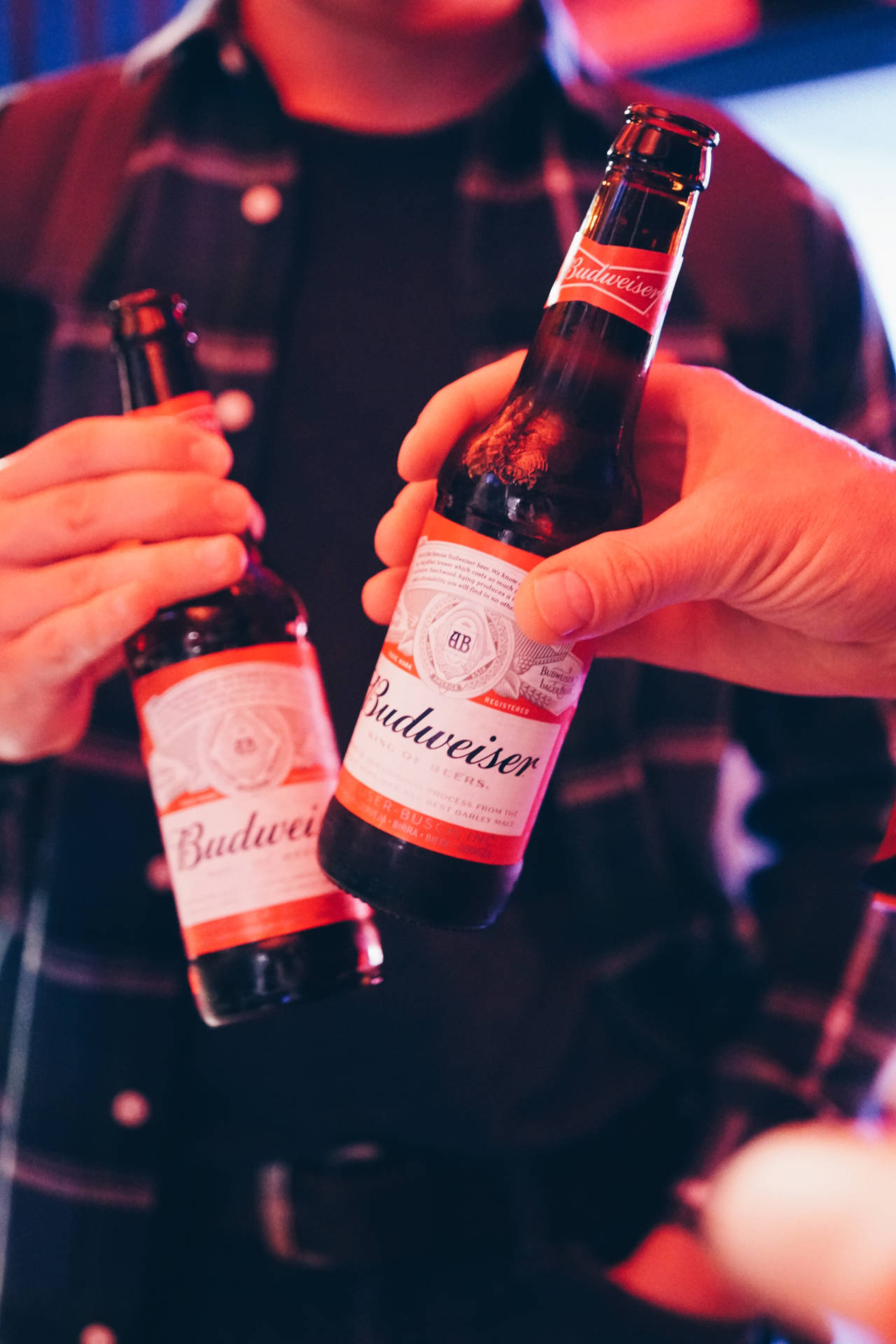 兩隻手在紅色霓虹燈下碰杯Budweiser啤酒瓶。