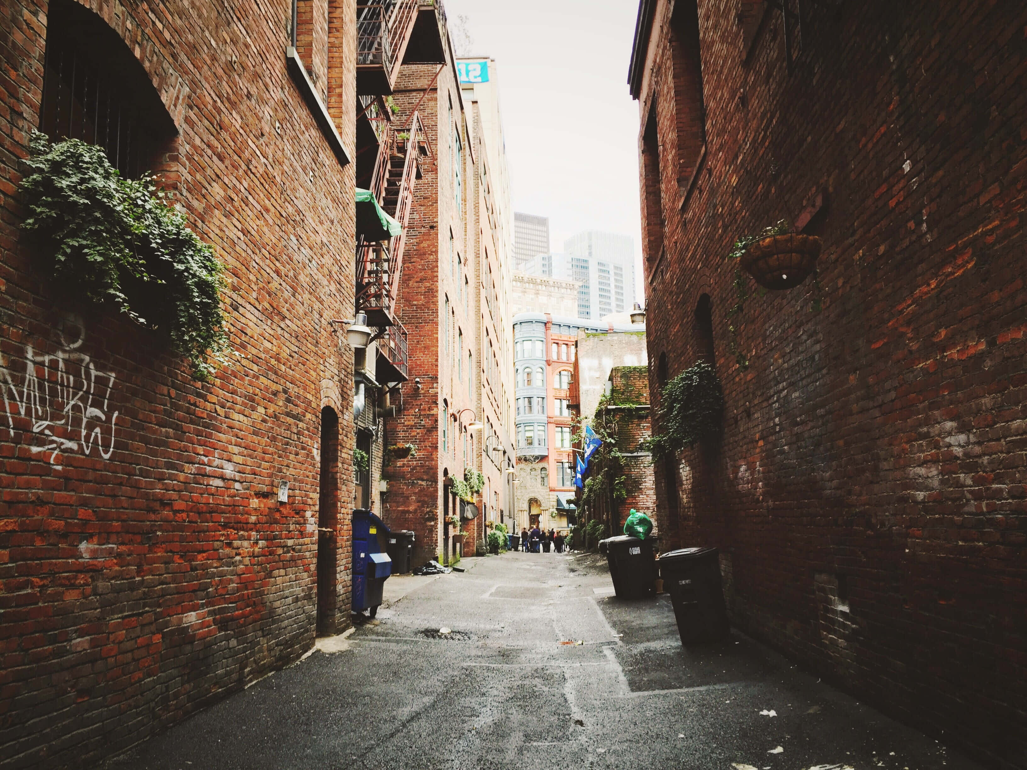 Alleyway 桌布 壁紙 — 舊建築之間一條狹窄的磚砌小巷，牆上有塗鴉藤蔓，遠處的城市摩天大樓在陰天之下。