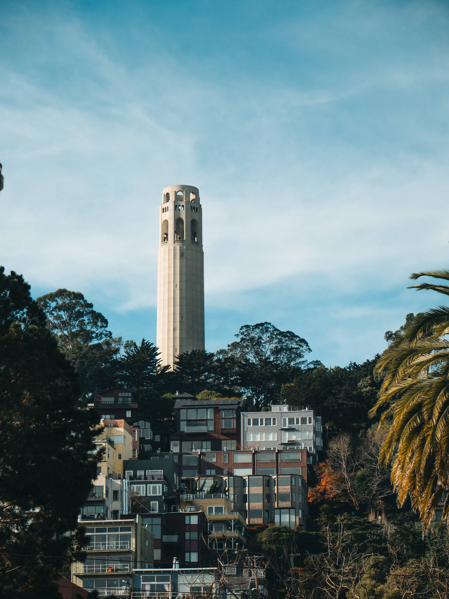 Coit Tower 在陽光明媚的日子裡，高高矗立於佈滿色彩繽紛房屋和樹木的山坡之上。