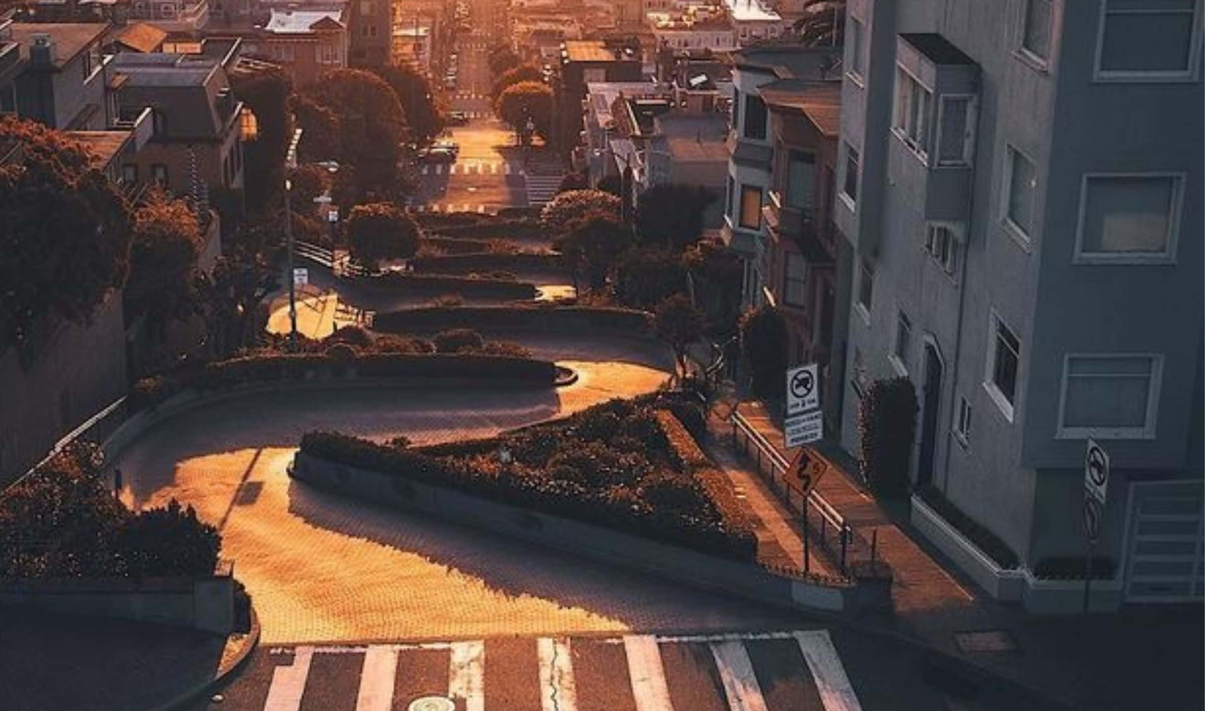 舊金山天際線的壯麗景色 壁紙 — 一條蜿蜒的城市街道沐浴在金色的日落光線中，樹木和建築物沿著彎道排列。