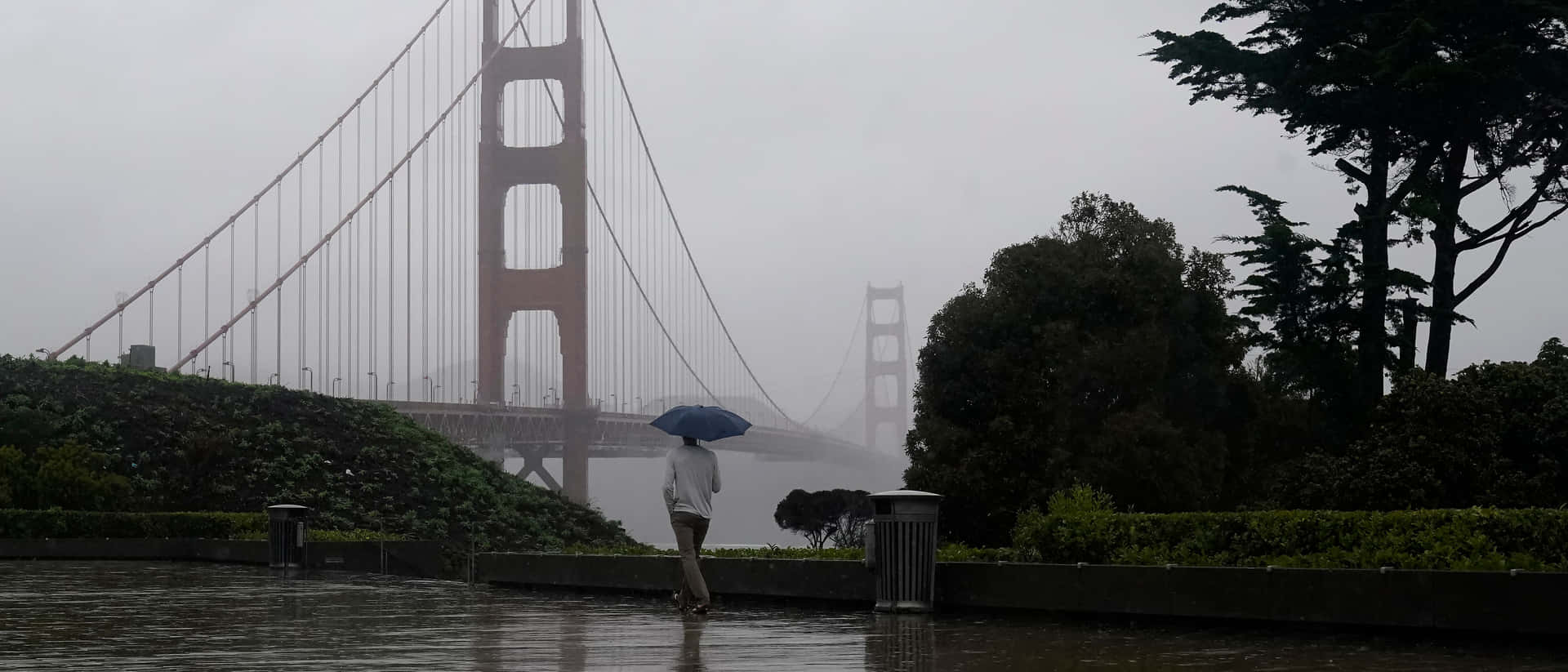 雨中霧氣中，撐著藍色雨傘的人走近金門大橋。