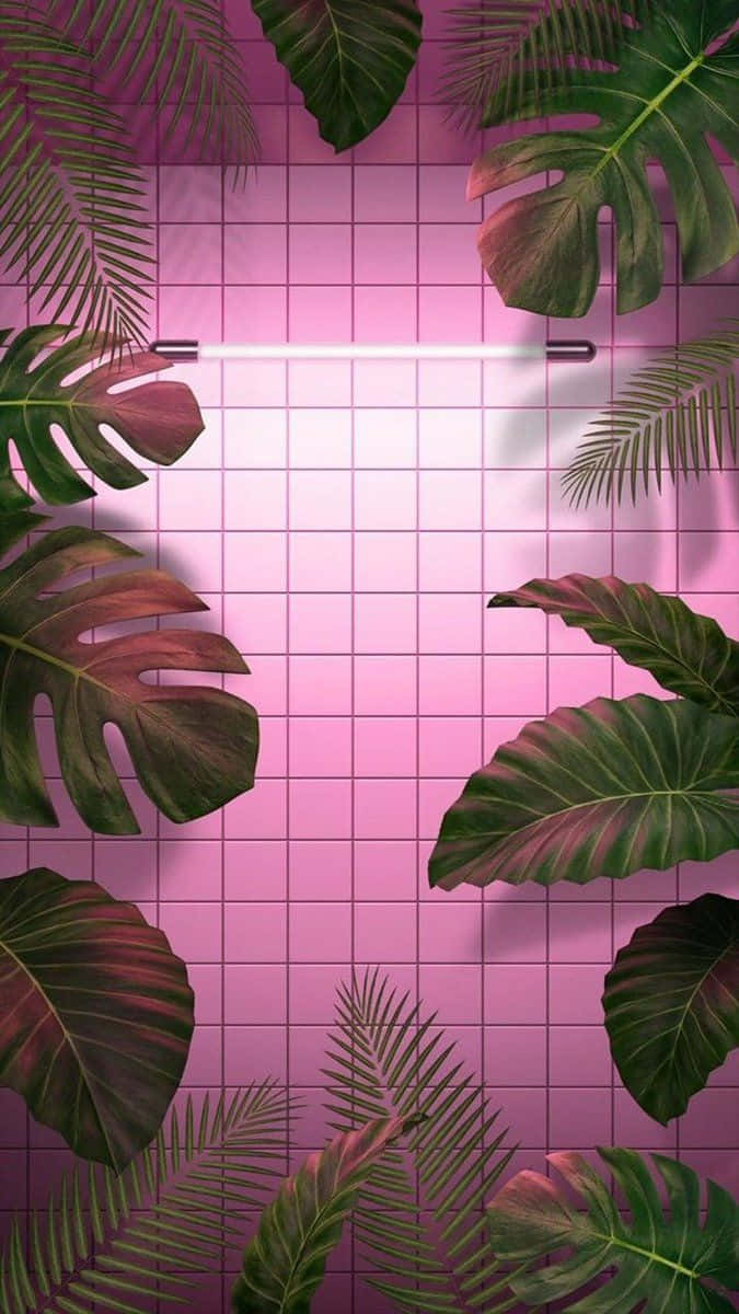 熱帶樹葉框住發光的霓虹燈管，背景是粉紅色網格牆。