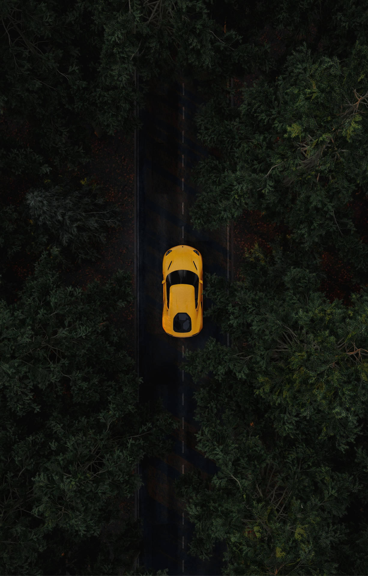 從上方俯瞰黃色跑車穿過黑暗森林