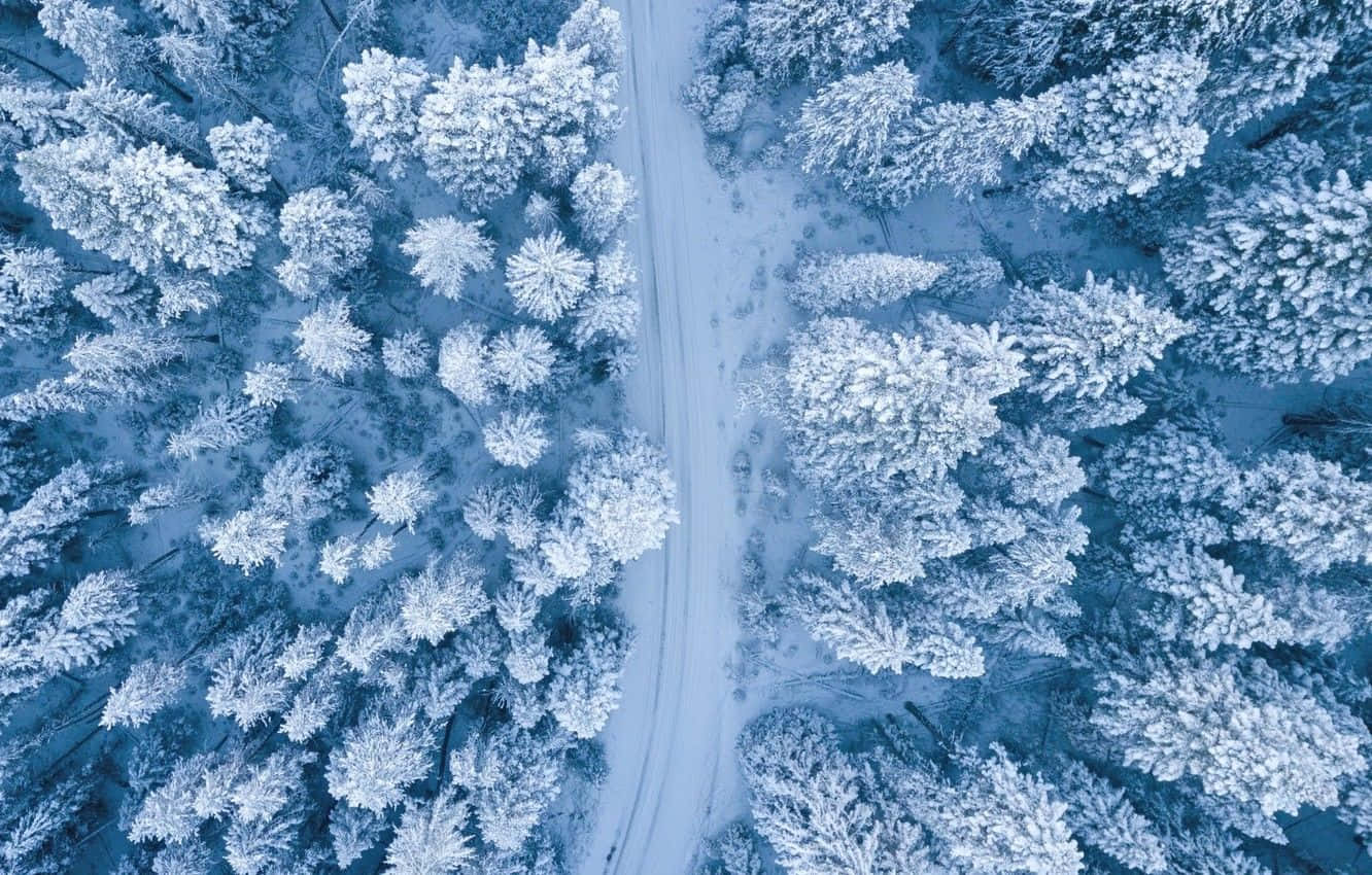 Beautiful Winter 桌布 壁紙 — 航拍視角，一條蜿蜒的道路穿過茂密的森林，森林被純淨的白雪覆蓋，上方是寒冷的藍色冬日天空。