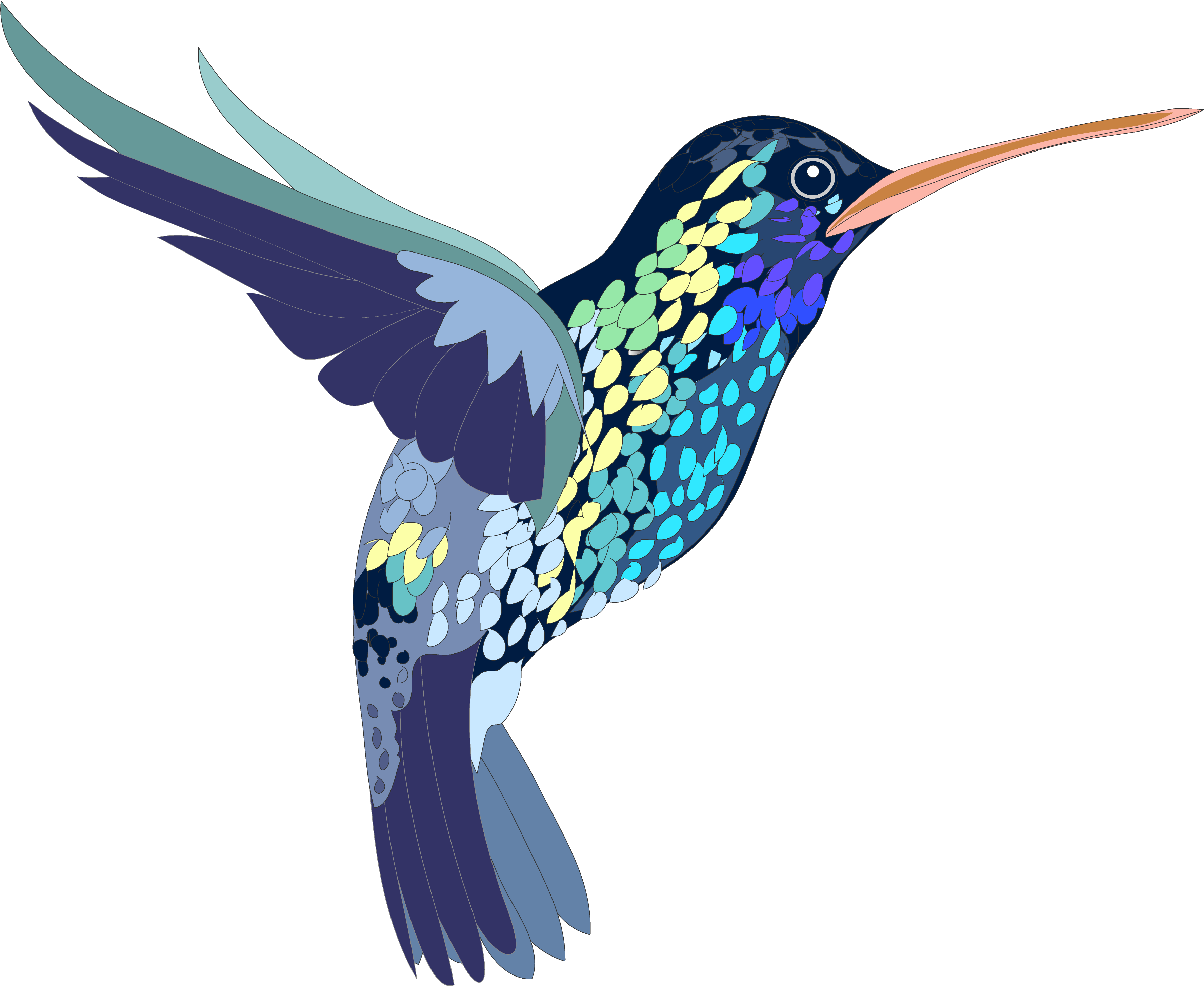 色彩斑斕的蜂鳥插畫 壁紙