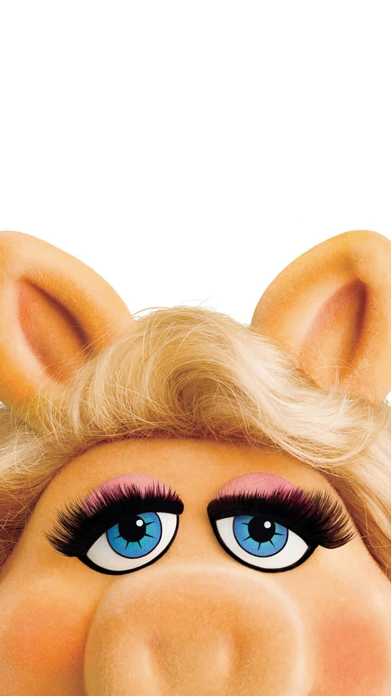 Miss Piggy 的藍色眼睛和金色頭髮的特寫臉部。
