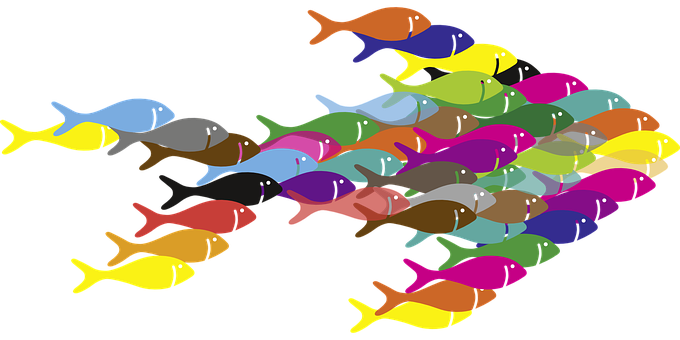 色彩繽紛嘅魚群插畫 壁紙