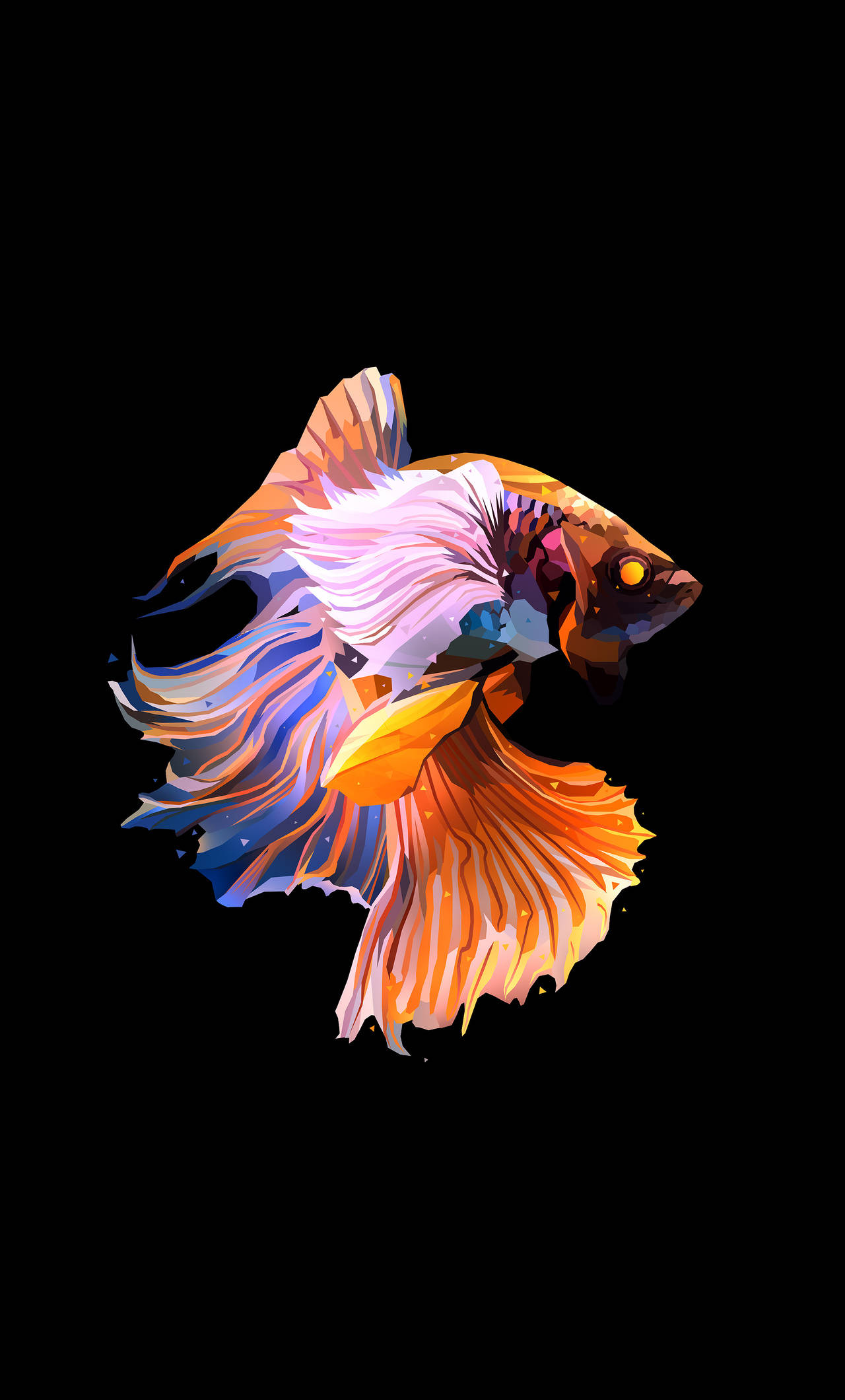 色彩繽紛暹羅鬥魚 iPhone 壁紙 — 一條色彩鮮豔的鬥魚，帶有流動的橙色、藍色和白色魚鰭，在漆黑的背景下閃耀。