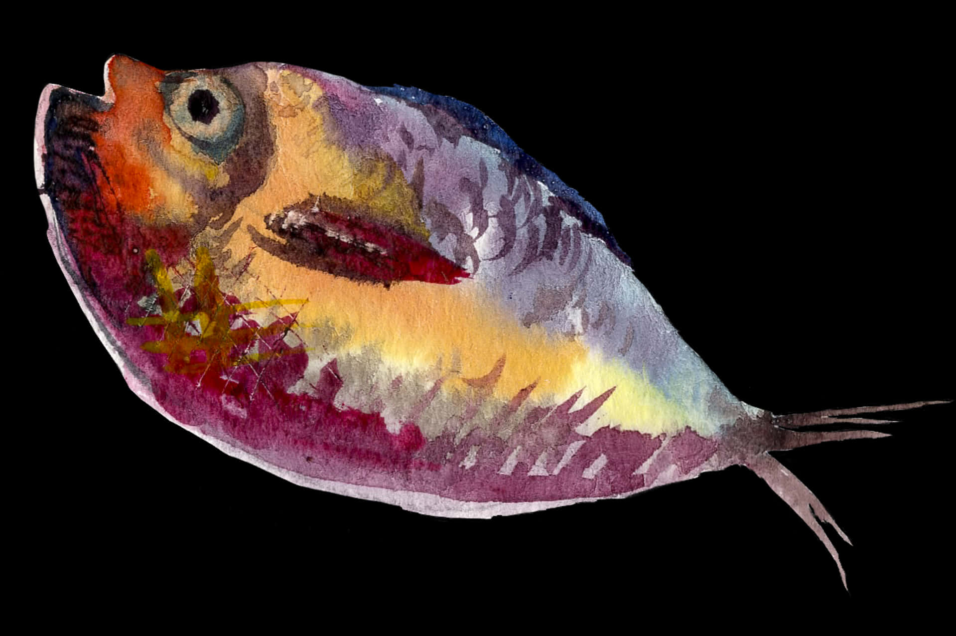 色彩繽紛水彩魚藝術作品 壁紙