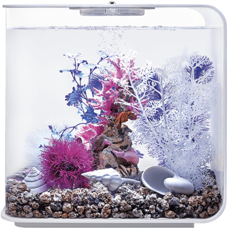 色彩繽紛水族箱珊瑚展示 壁紙 — 一個充滿活力的水族箱，在明亮的燈光下，礫石床上佈滿了色彩繽紛的人造珊瑚和貝殼。