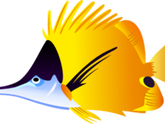 色彩繽紛熱帶魚插畫 壁紙 — 一條鮮黃色和藍色、帶有尖刺鰭的魚在純黑色背景下游泳。