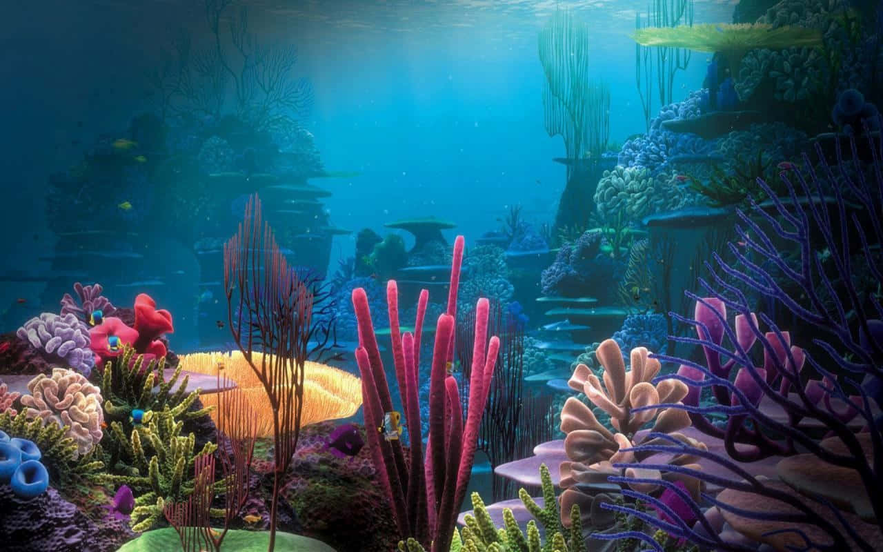 色彩繽紛珊瑚魚缸背景 壁紙 — 充滿活力的珊瑚礁，色彩繽紛的海洋生物在藍色水下陽光中沐浴。