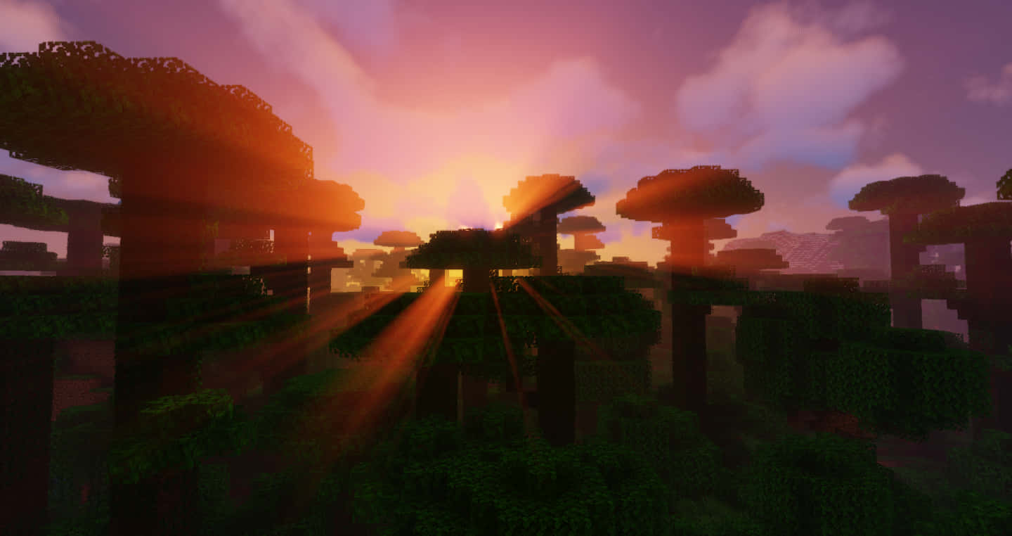 Minecraft叢林在日落時分，光線穿過方塊狀樹木閃耀。