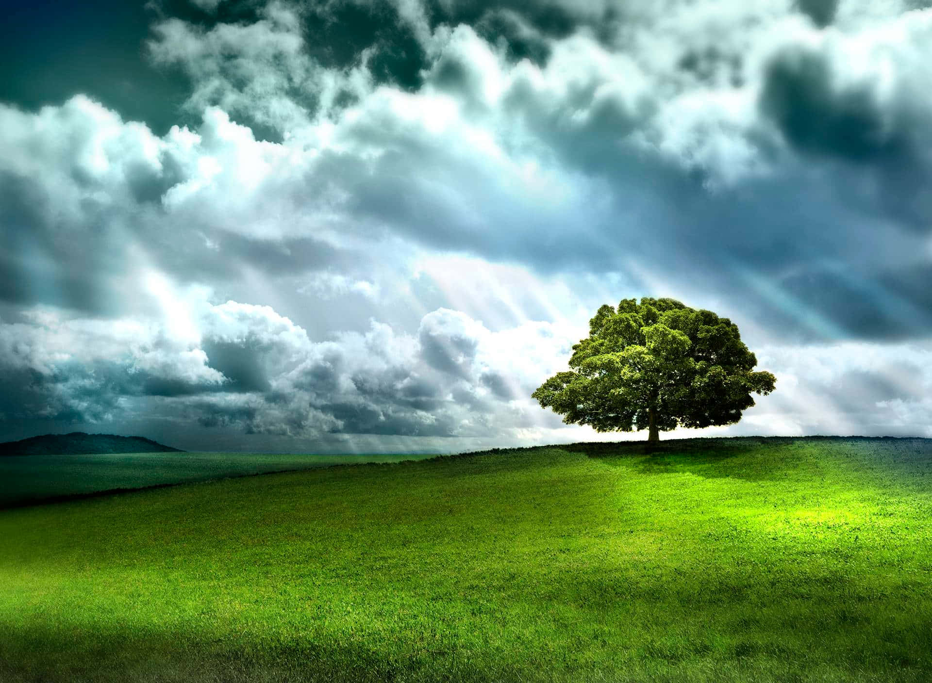 色彩繽紛的 Windows 預設背景 壁紙 — 一棵孤獨的鮮綠樹木矗立在起伏的山丘上，天空戲劇性，陽光穿透烏雲。