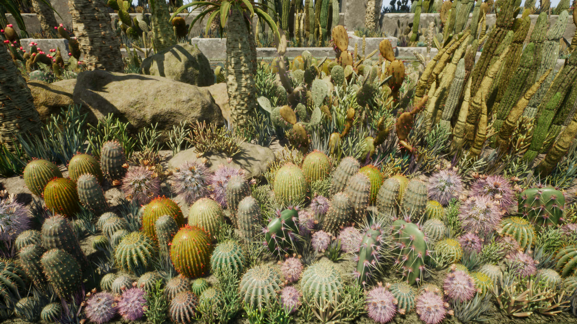 色彩繽紛的仙人掌植物盛開 壁紙 — 一個陽光普照的沙漠花園，在明亮的日光下充滿了各種仙人掌和多肉植物。