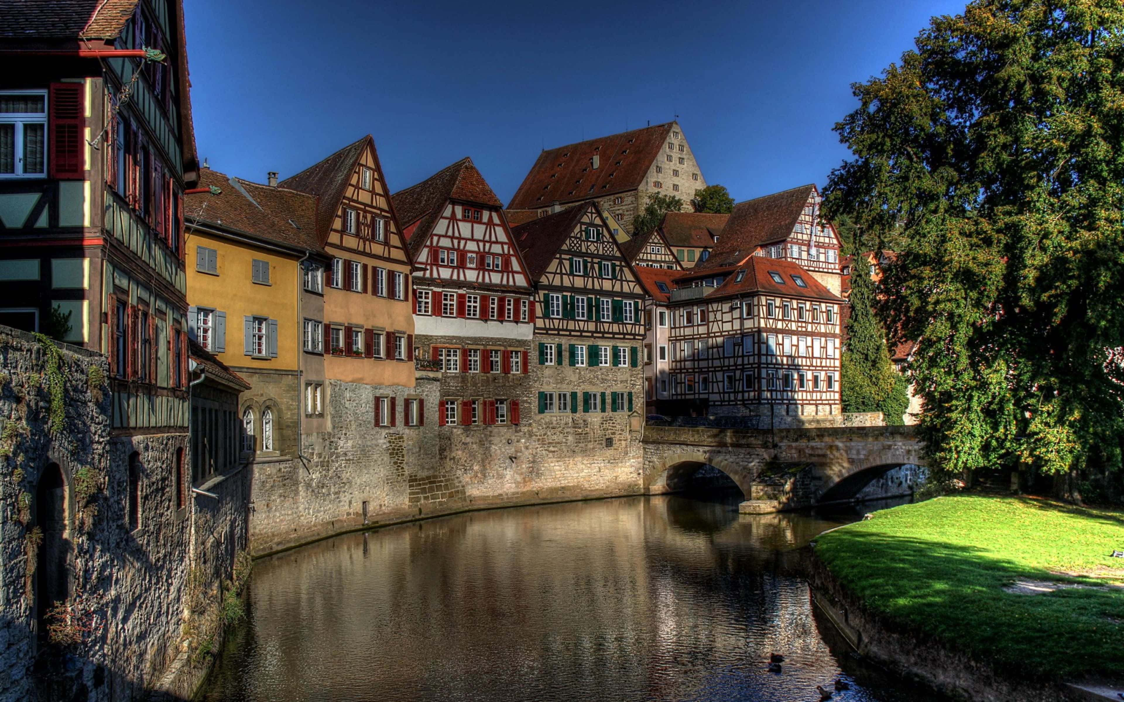 Germany 桌布 壁紙 — 色彩繽紛的半木結構房屋沿著平靜的河流排列，在晴朗的藍天下，附近有茂密的綠樹。