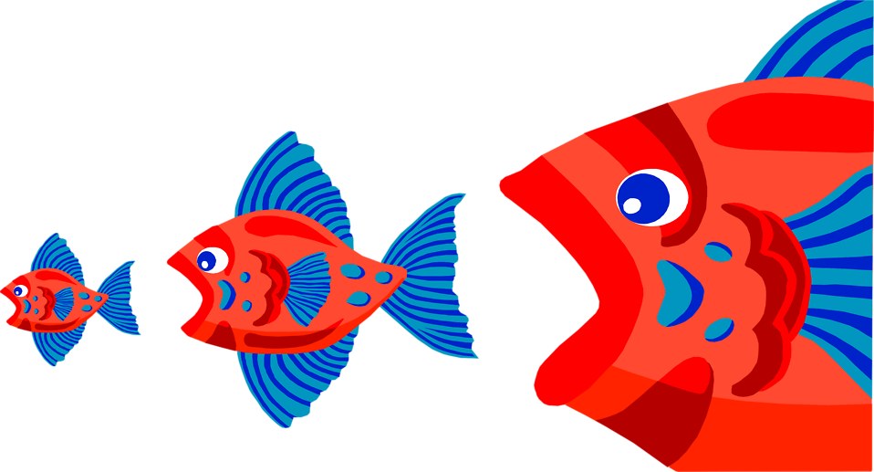 色彩繽紛的卡通魚插畫 壁紙