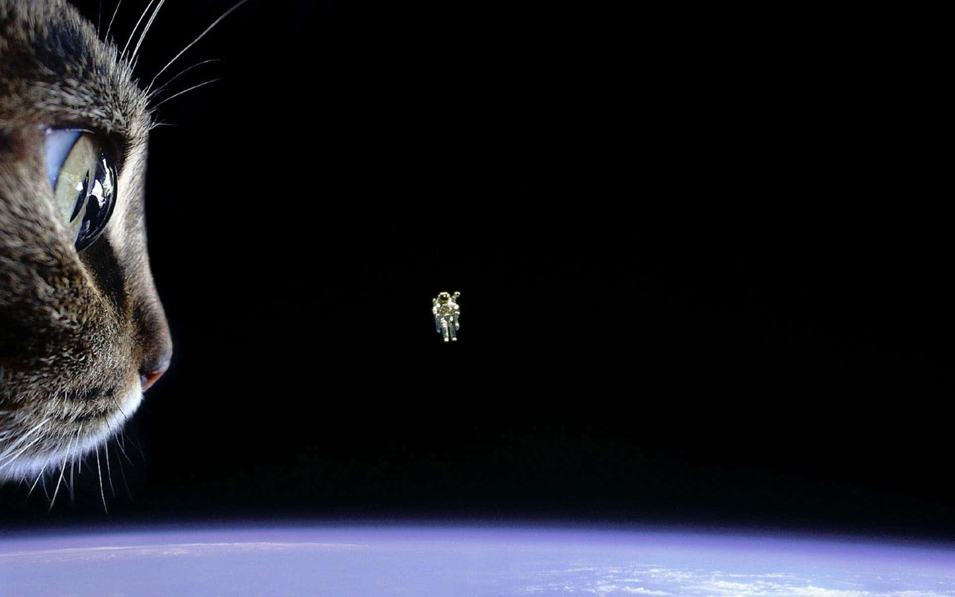 一隻貓從太空看著地球上方漂浮的太空人。