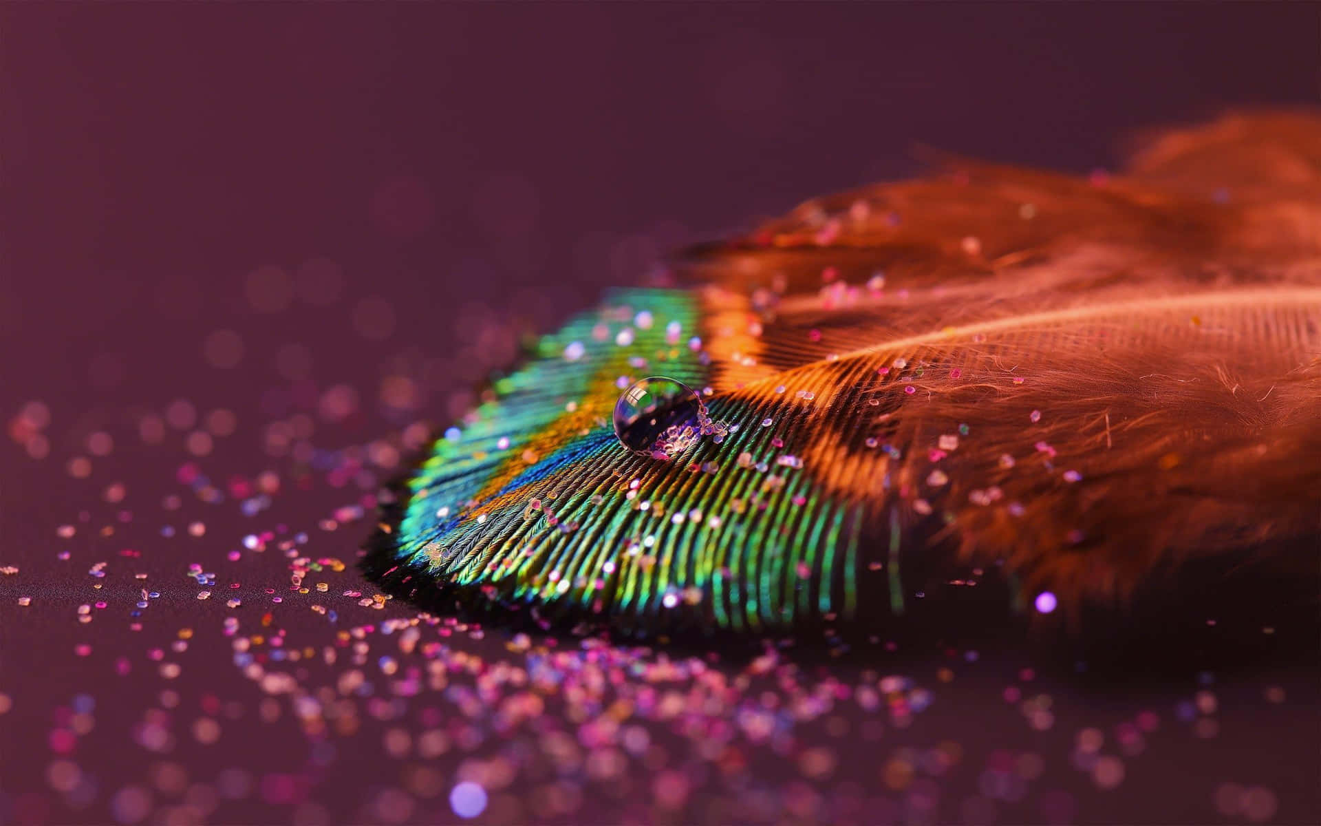 在紫色背景上，一根帶有閃粉和水滴的彩色孔雀羽毛。