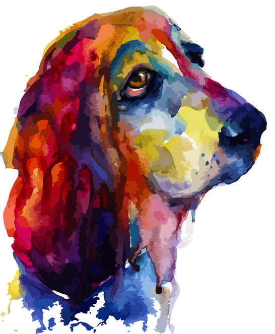 色彩繽紛的巴賽特獵犬肖像 壁紙 — 一幅充滿活力的水彩畫，描繪了一隻巴吉度獵犬，擁有流動的多色毛髮和富有靈魂的棕色眼睛。